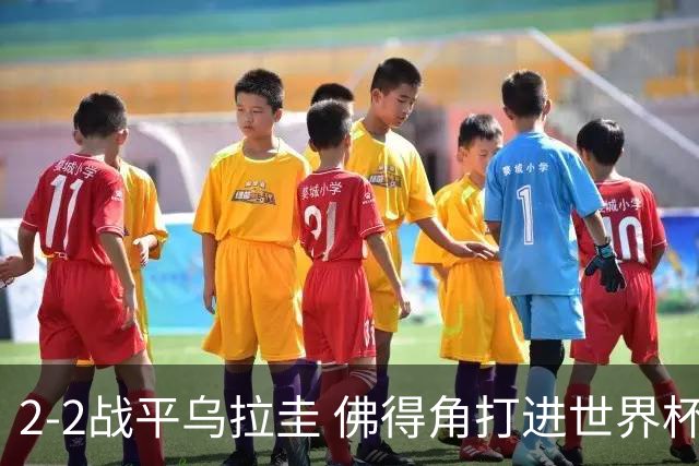 2-2战平乌拉圭 佛得角打进世界杯队史首球